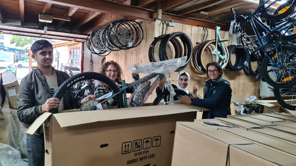 Bikepool Bild 2